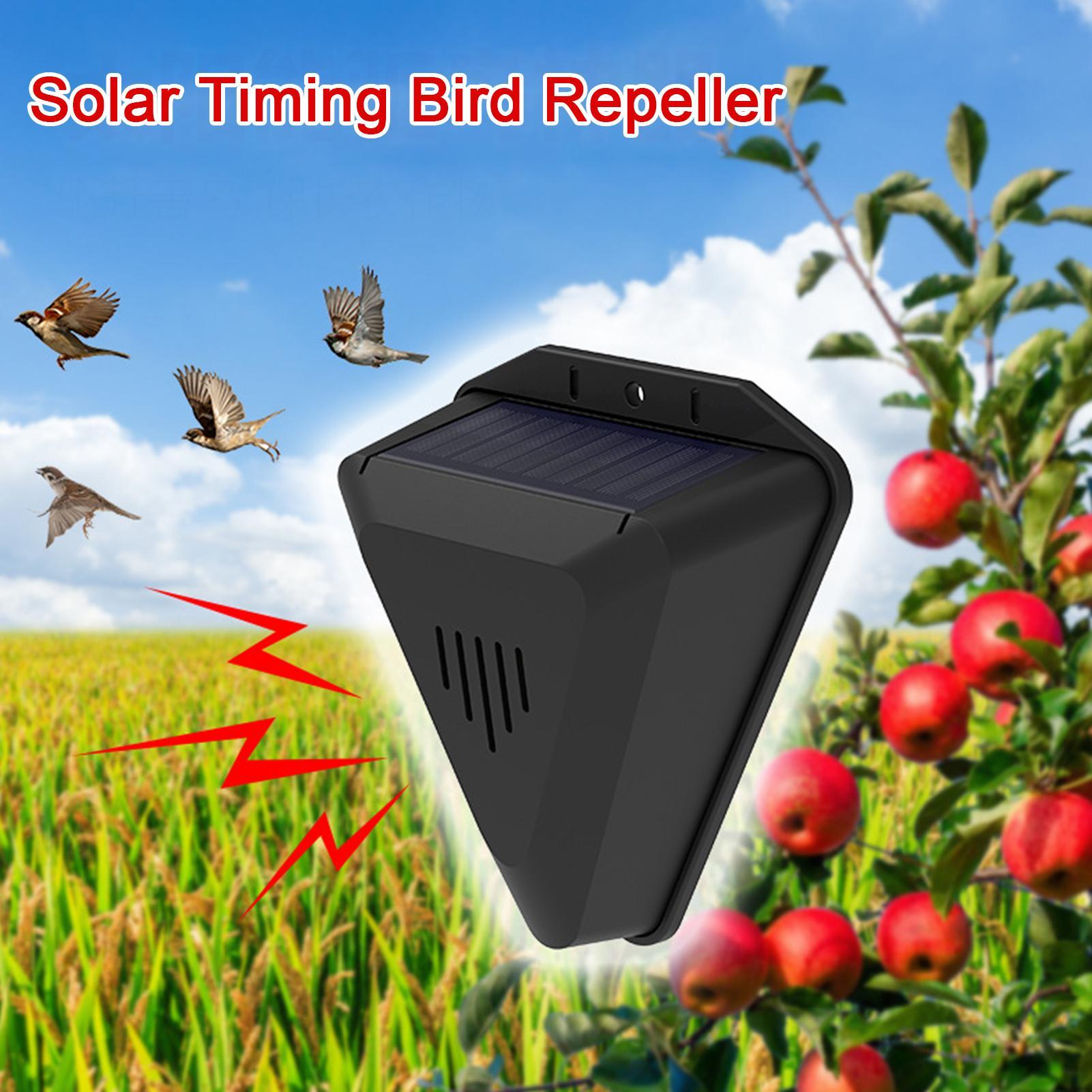 Solarbetriebener Vogelabwehr-T – Outdoor Power With Timer Bewertung und Preis