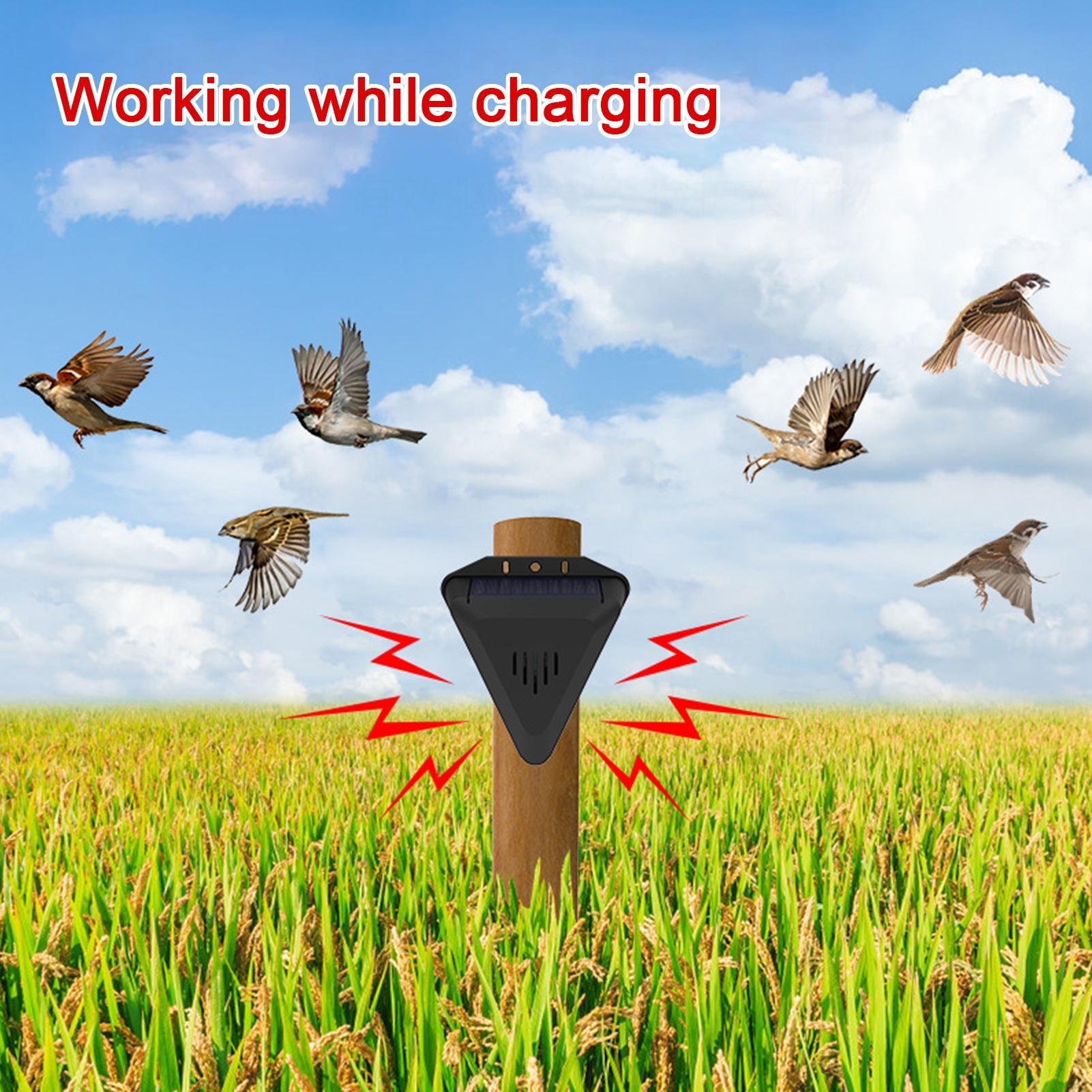 Solarbetriebener Vogelabwehr-T – Outdoor Power With Timer Bewertung und Preis