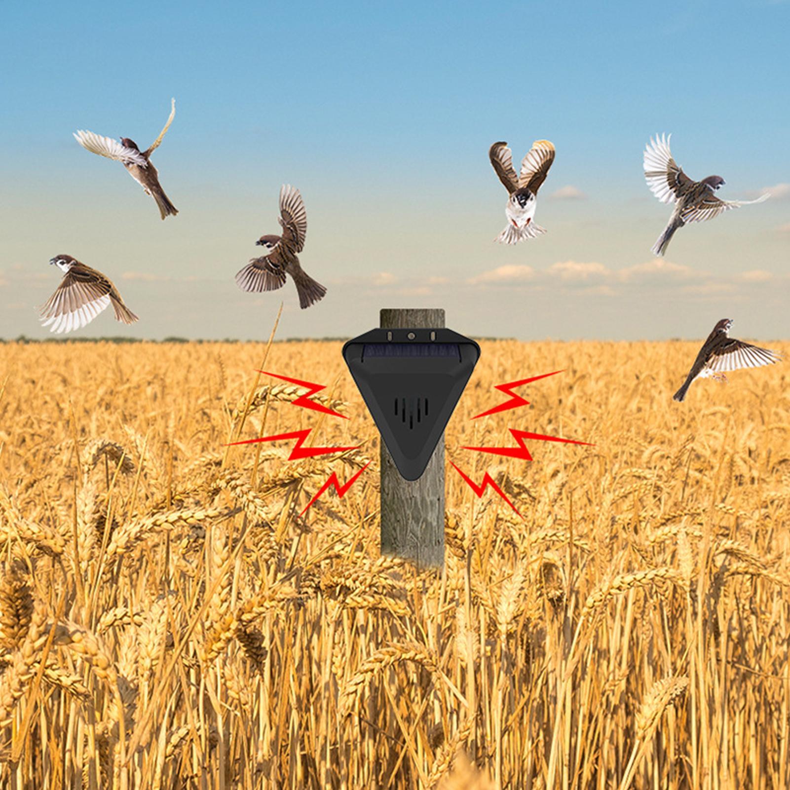 Solarbetriebener Vogelabwehr-T – Outdoor Power With Timer Bewertung und Preis